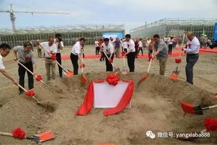 投資8000萬將大海搬進(jìn)工廠 新疆首個(gè)循環(huán)水工廠養(yǎng)殖示范基地助力水產(chǎn)品養(yǎng)殖新突破